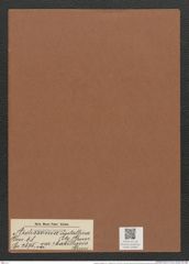 Ardissonia crystallina var. ? bacillaris Grun. (de-Toni-Nr.: Genus 68, Species 2675) Zeichnungen Sammlung Grunow Mappe 02883 (Herbarium_W_Grunow_drawings_Folder_02883)